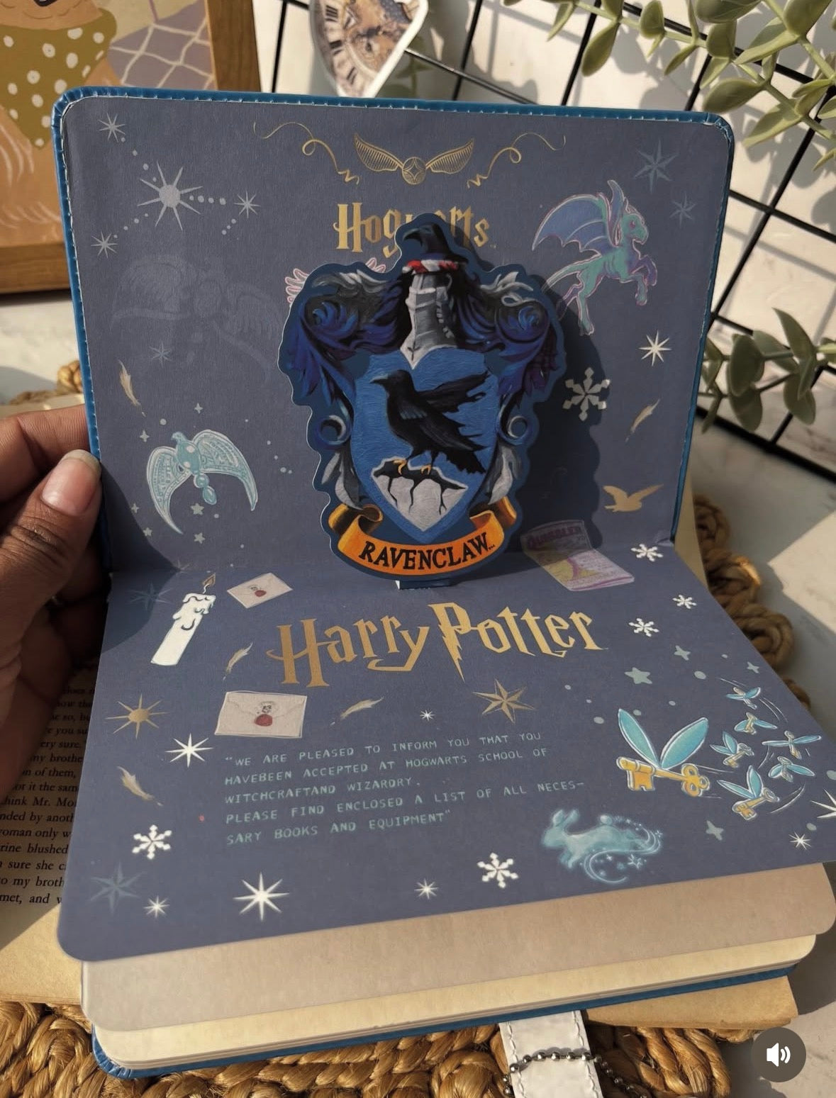 Harry Potter Magnetic Puff Diary